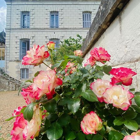 سانت إينيو Maison Adrienne المظهر الخارجي الصورة