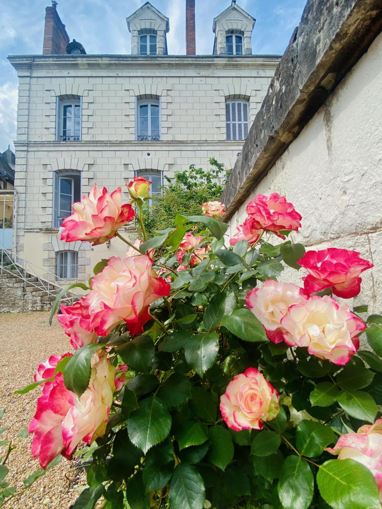 سانت إينيو Maison Adrienne المظهر الخارجي الصورة